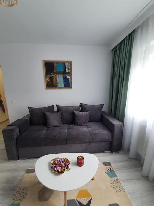 Apartament Ama ซีบิว ภายนอก รูปภาพ