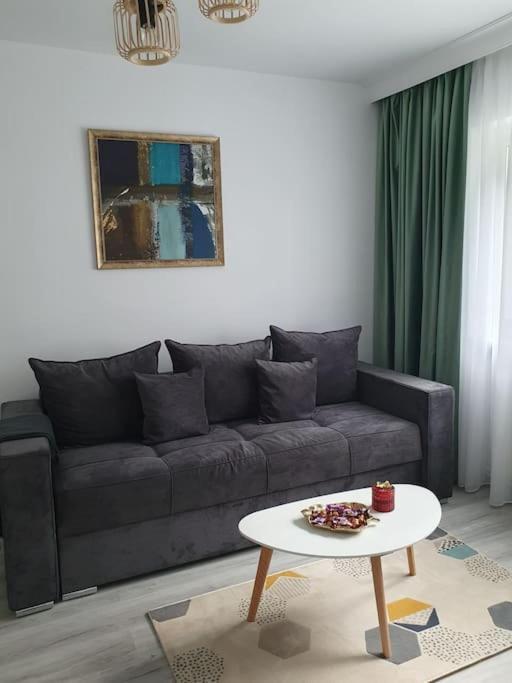 Apartament Ama ซีบิว ภายนอก รูปภาพ