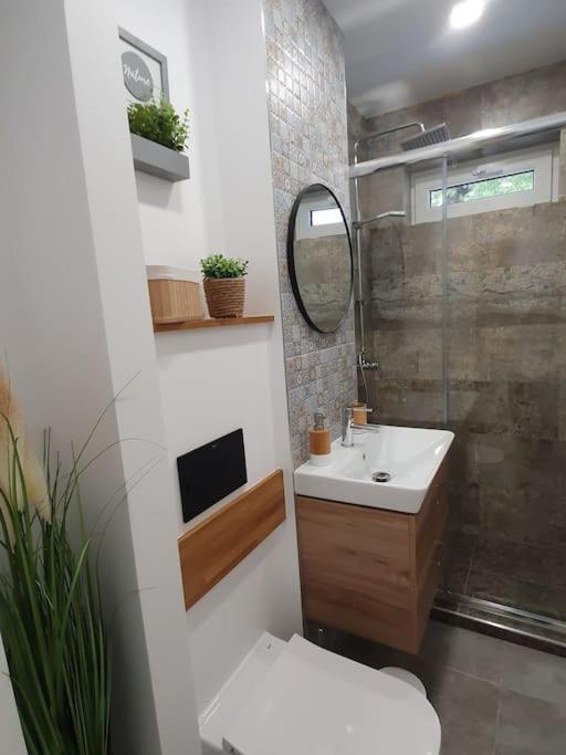 Apartament Ama ซีบิว ภายนอก รูปภาพ